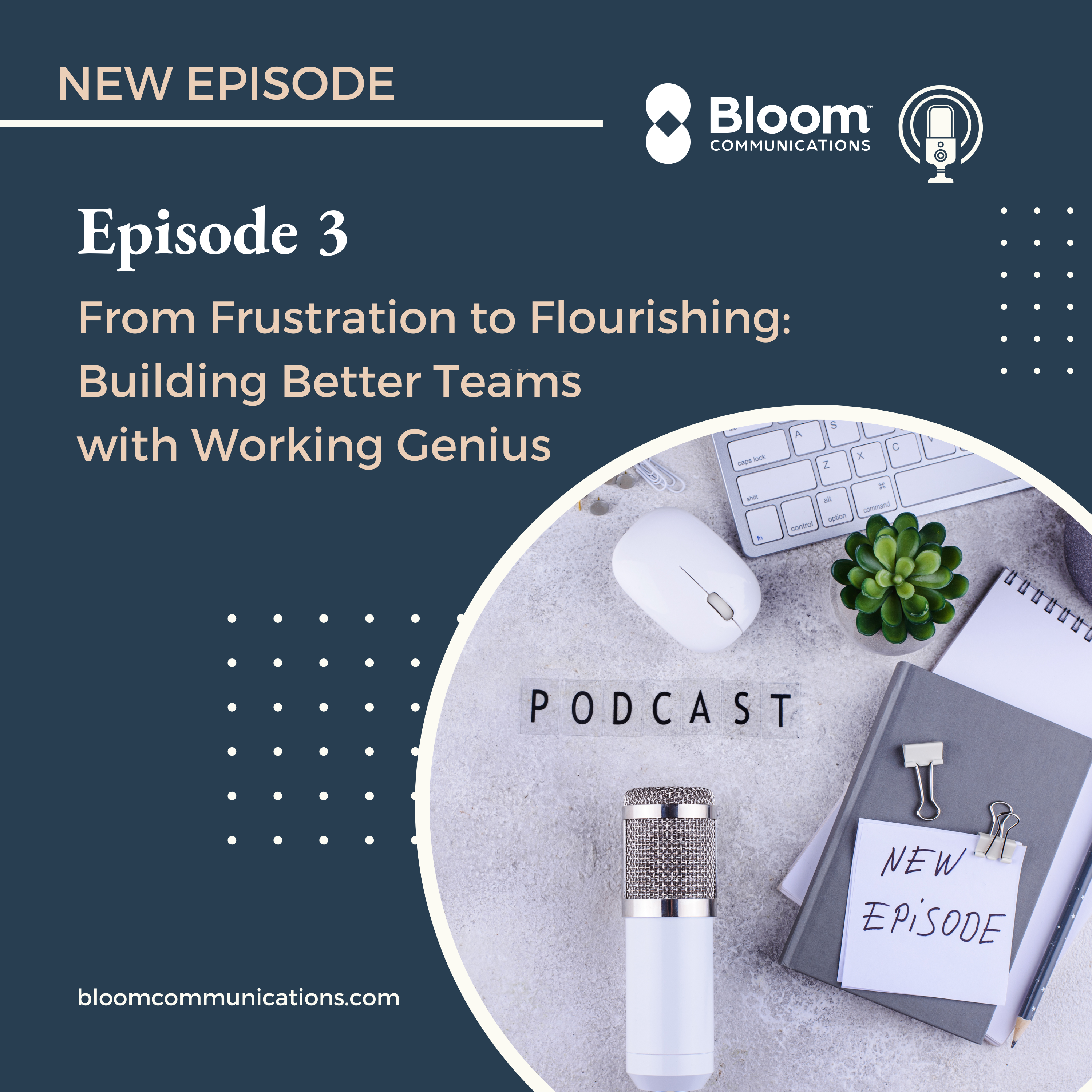 Episode 3: From Frustration to Flourishing: Building Better Teams with Working Genius